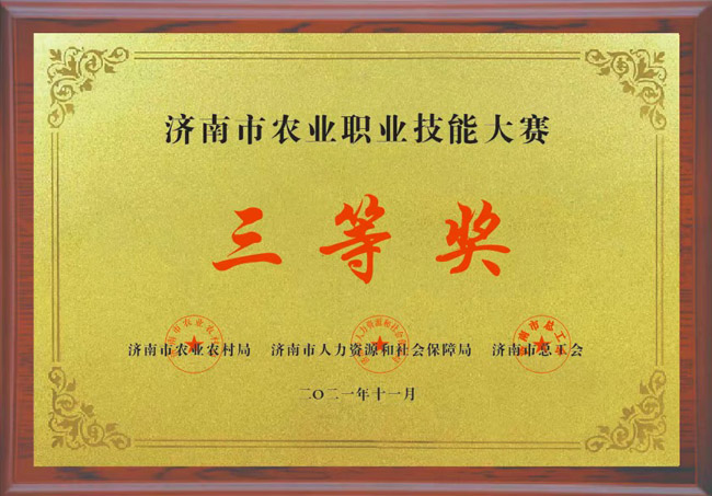 资质荣誉