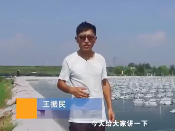 视频展示