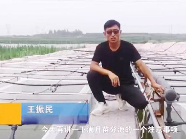 j9国际集团满月苗确当苦衷项