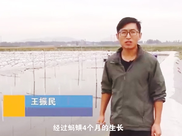 j9国际集团收成流程