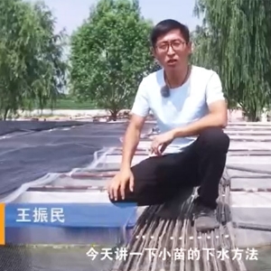 j9国际集团幼苗的下水步骤