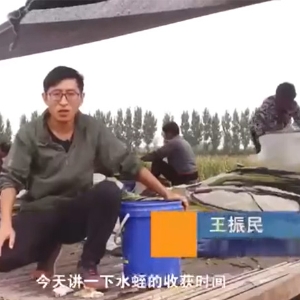 j9国际集团收成功夫